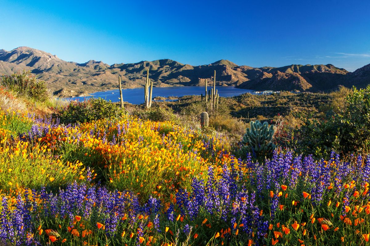 10 Best National Parks to Visit in Spring