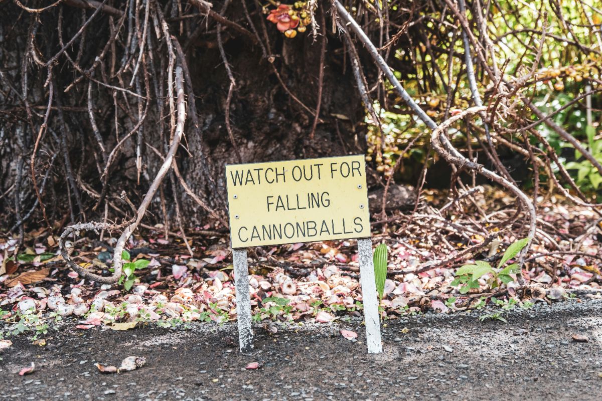 Welcome to Our National Park Blog