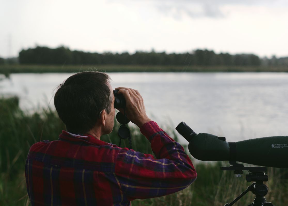 Wildlife Watching Guide: Best National Parks for Animal Encounters